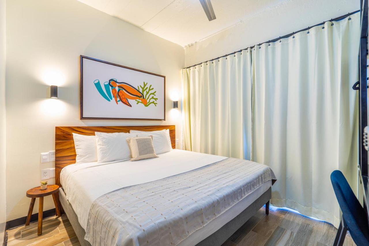 Joint Boutique Hotel Zona Romantica ปูแอร์โตบาญาร์ตา ภายนอก รูปภาพ