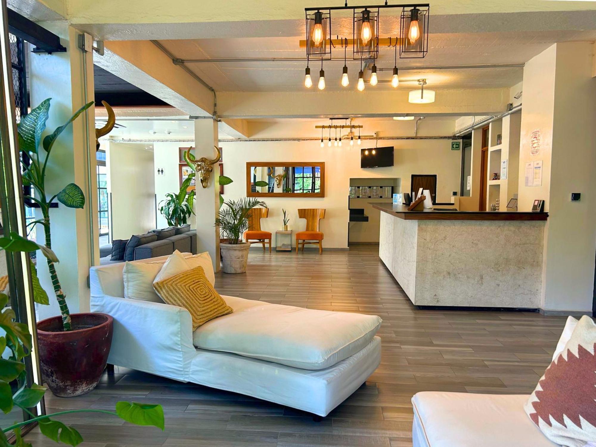 Joint Boutique Hotel Zona Romantica ปูแอร์โตบาญาร์ตา ภายนอก รูปภาพ