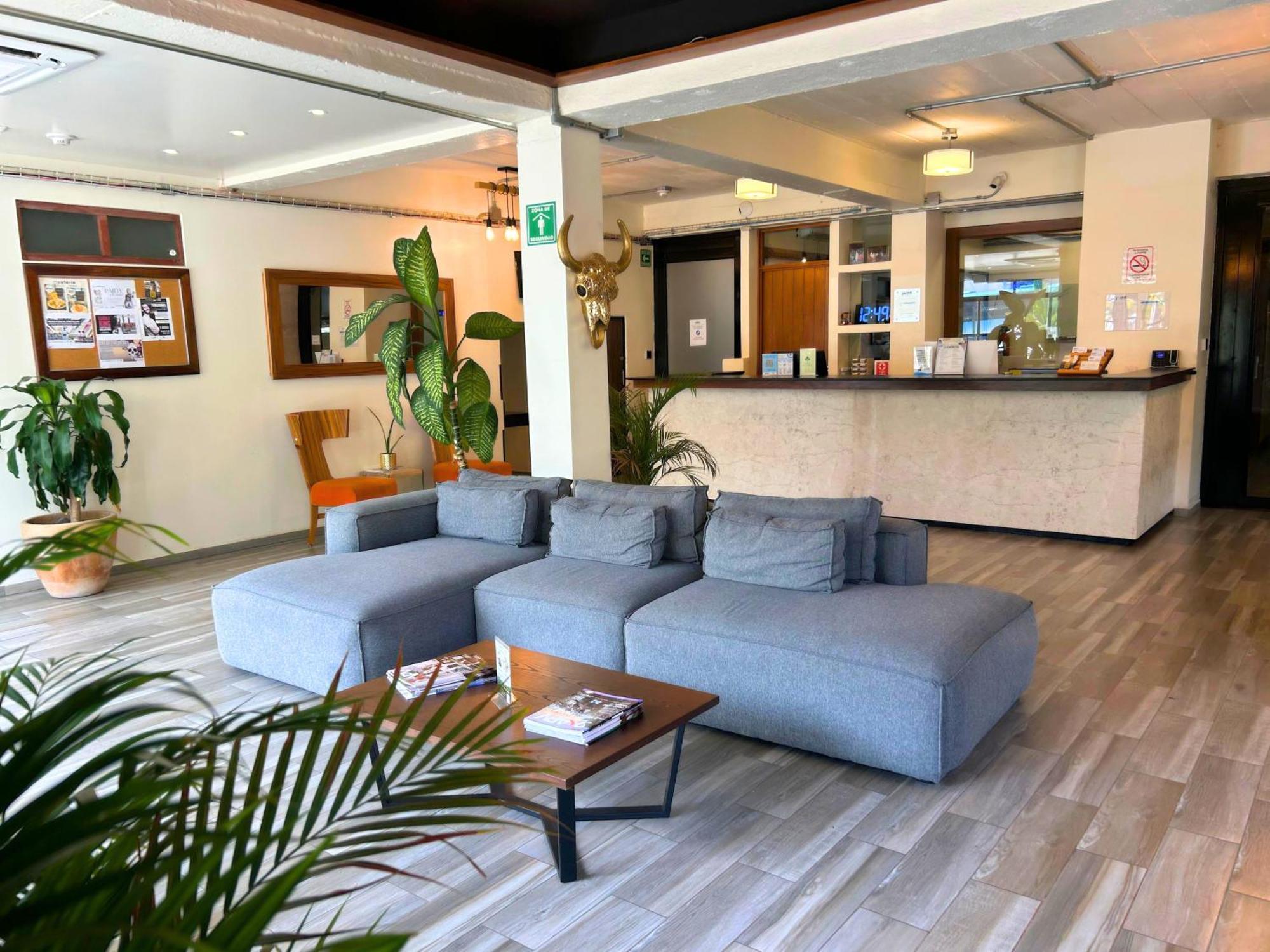 Joint Boutique Hotel Zona Romantica ปูแอร์โตบาญาร์ตา ภายนอก รูปภาพ